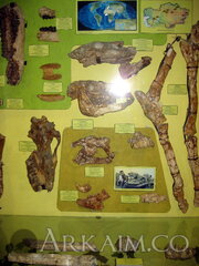 IMG 5925