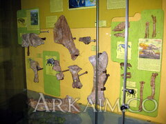 IMG_5942.JPG