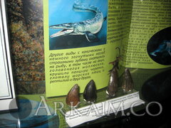 IMG_5952.JPG