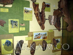 IMG_5963.JPG