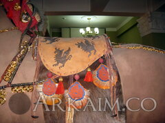 IMG_5788.JPG