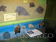 IMG_5973.JPG