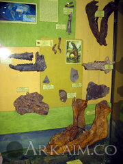 IMG_5939.JPG