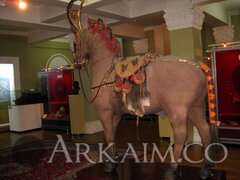 IMG 5764