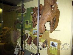 IMG_5958.JPG