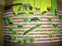 IMG 5905