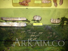 IMG 5926