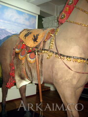 IMG_5791.JPG