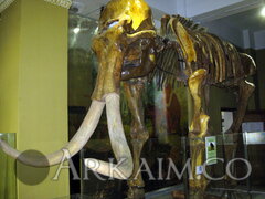 IMG 5911