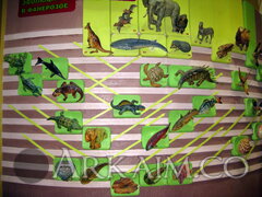 IMG_5949.JPG