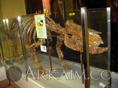 IMG 5928