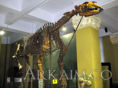 IMG 5912