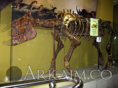 IMG 5902