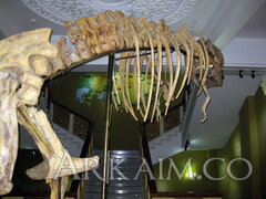 IMG_5950.JPG
