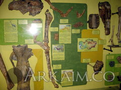 IMG 5932