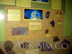 IMG_5974.JPG
