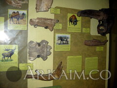 IMG_5959.JPG