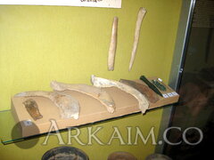 IMG_5813.JPG