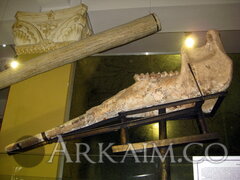 IMG 5923