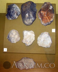 IMG 5759
