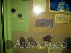 IMG_5975.JPG