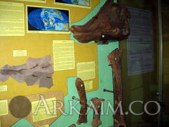 IMG_5981.JPG