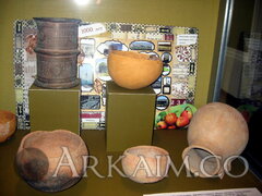 IMG 5870
