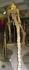 IMG 5983