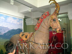IMG_5792.JPG