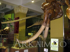 IMG 5915