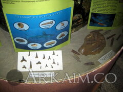 IMG_5951.JPG