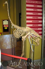 IMG_5955.JPG