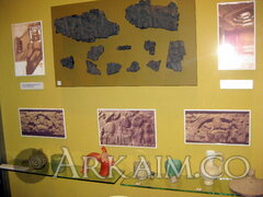 IMG 5893