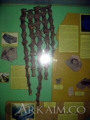 IMG_5980.JPG