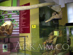 IMG 5910