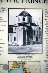 IMG_5993.JPG