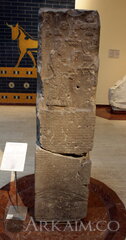 IMG 1175