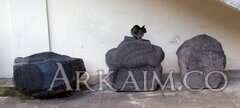 PA280936.JPG