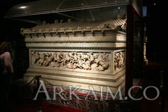 IMG_5893.JPG