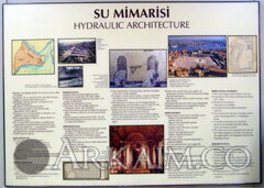 PA291248.JPG