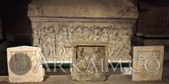 IMG 1423