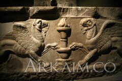 IMG 5971