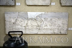 IMG_5996.JPG