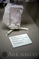 IMG_6166.JPG