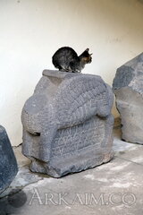 IMG 5879