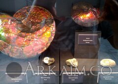 IMG_20190908_142506.jpg