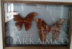 IMG_20190908_145358.jpg