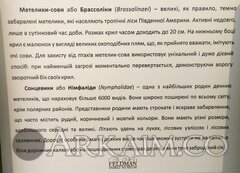 IMG 20190908 144855