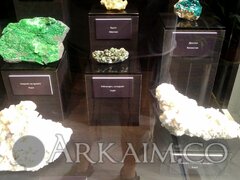 IMG_20190908_143709.jpg