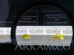 IMG 20190908 145203